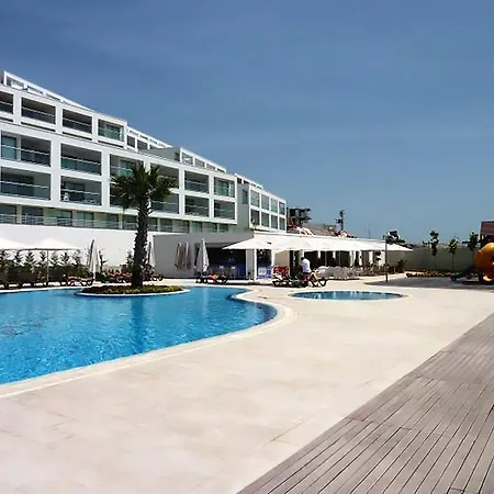 Horizon Sky Coconut 1