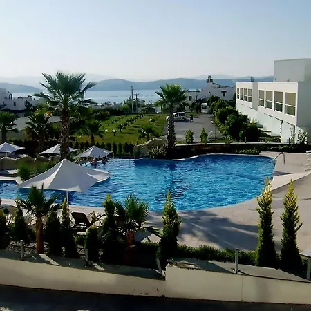 Horizon Sky Coconut 1 Kıyıkıslacık